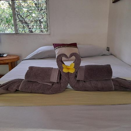 Hotel El Colibri Rojo - Cabinas - Le Colibri Rouge 卡维塔 客房 照片