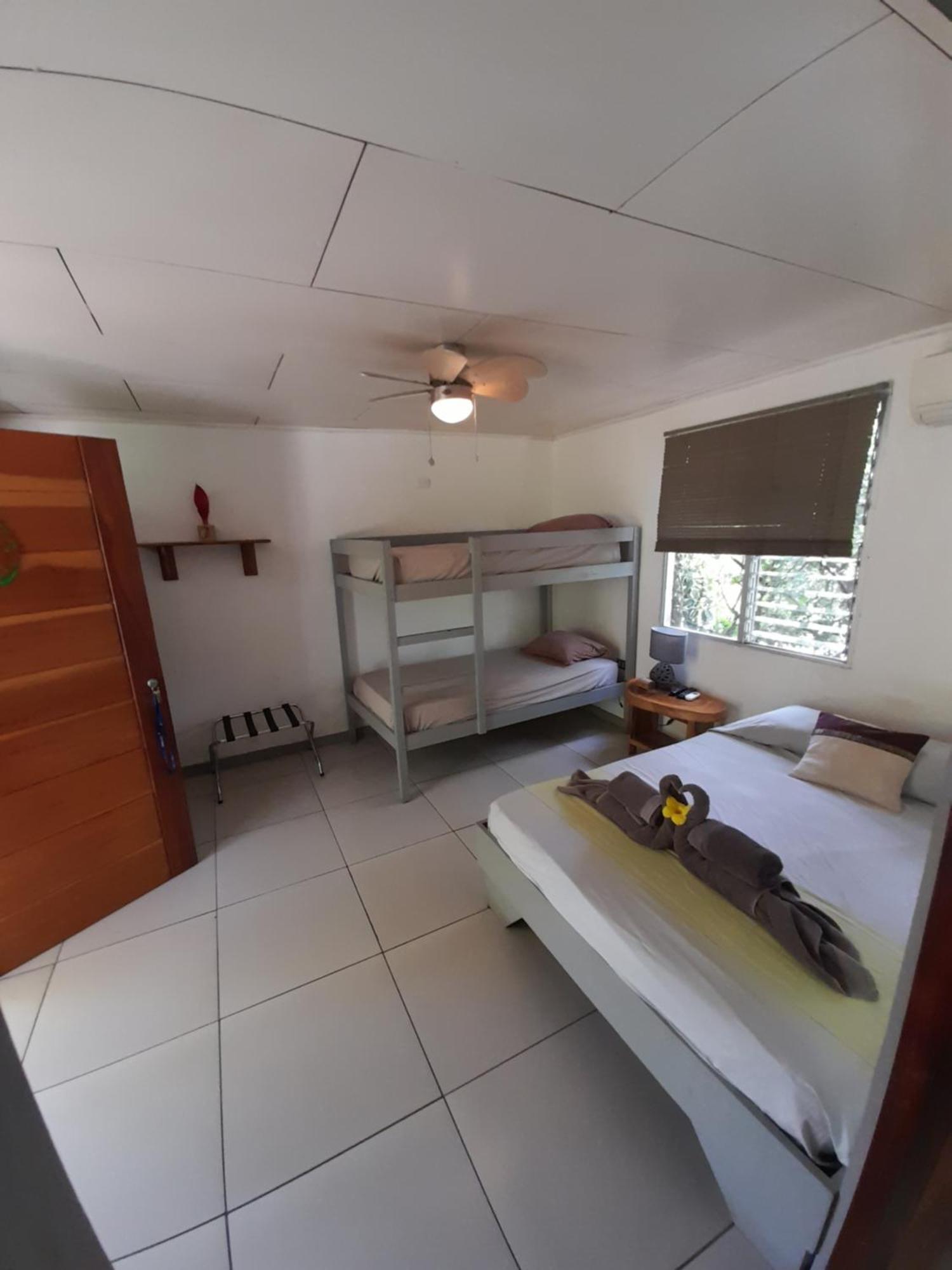 Hotel El Colibri Rojo - Cabinas - Le Colibri Rouge 卡维塔 客房 照片